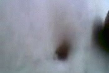 Узбекская целка сосет член - szbekistan seks sayt